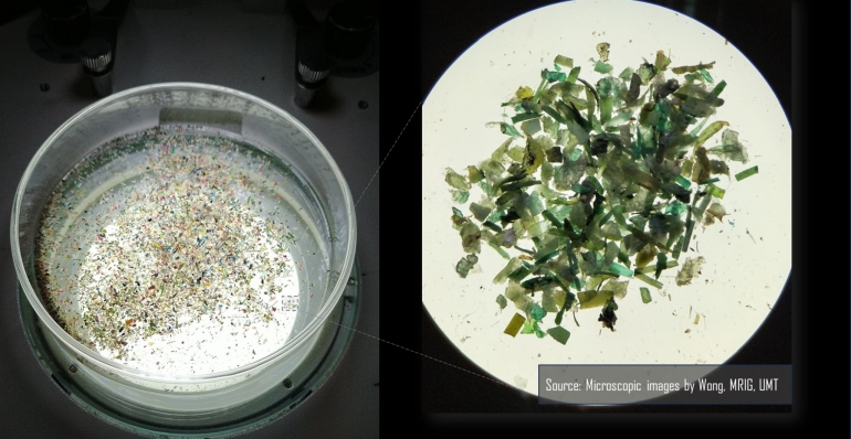 Our alarming plastic diet